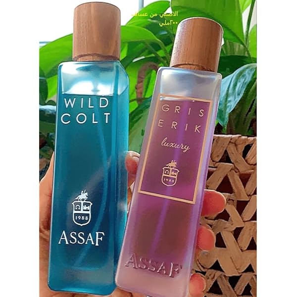 Wild Colt + Griss Erik ASSAF Package باقة وايلد كولت + جريس إريك آساف