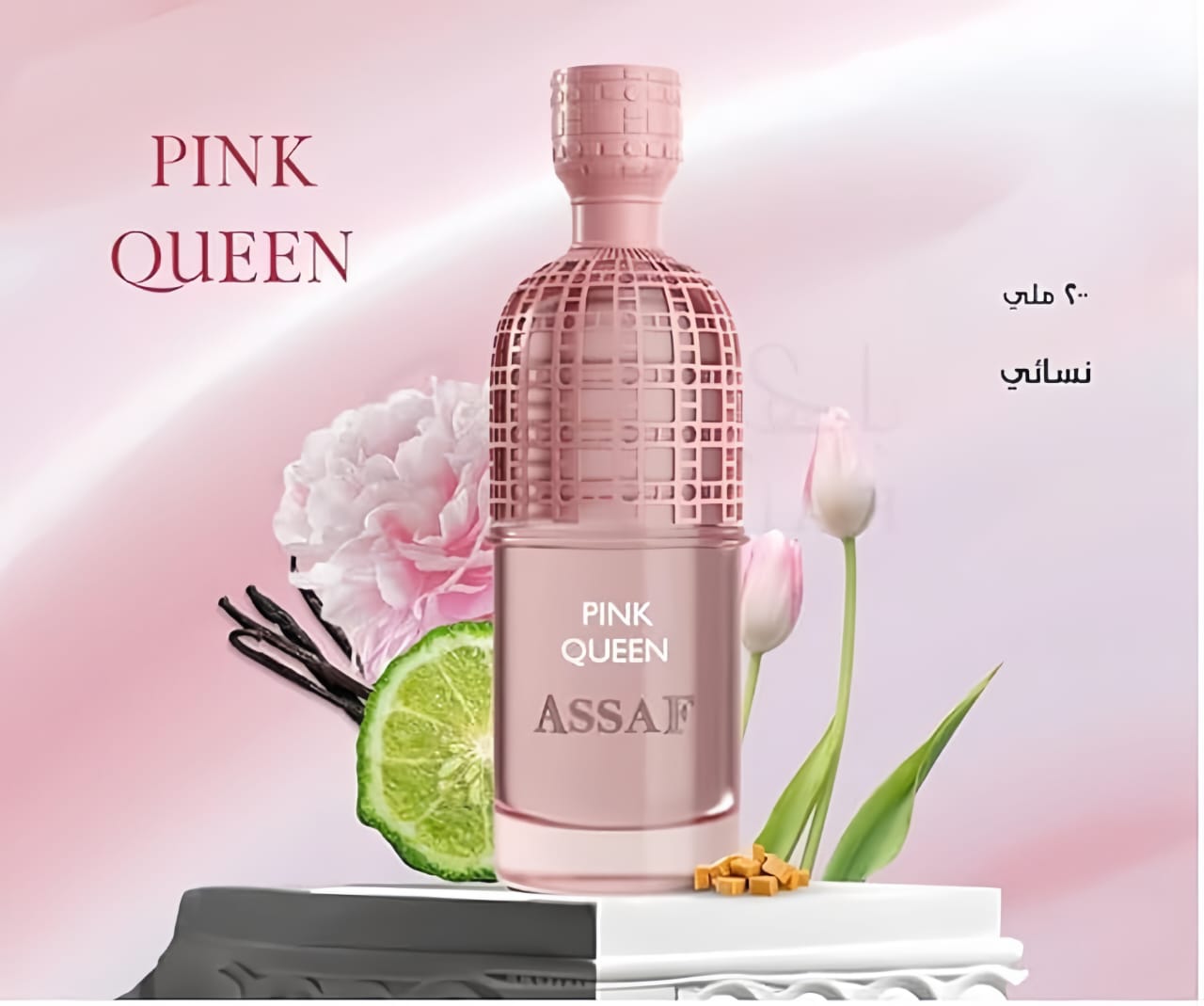 Wild Colt + Pink Queen ASSAF Package حزمة وايلد كولت + بينك كوين أساف